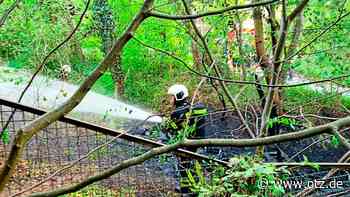 Brand im Jenaer Kernbergviertel drohte auf Wohnhaus überzugreifen