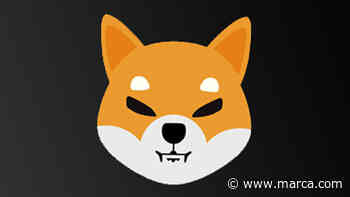 Shiba Inu: Why the cryptocurrencys price crashed and what to expect? - Marca English