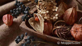 The Best Images from GuruShots "Marvelous Still Life" Challenge