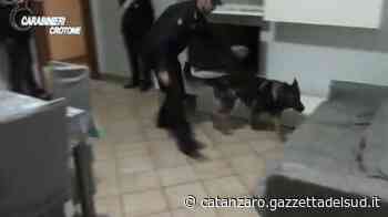 Droga a Crotone, la Cassazione conferma tre condanne - Gazzetta del Sud - Edizione Catanzaro, Crotone, Vibo