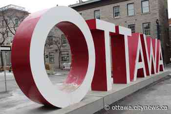 BIPOC Farmers' Initiative aiming to diversify Ottawa's market space one year after launch - Ottawa.CityNews.ca