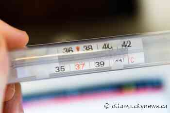 Ottawa Public Health warns of locally-acquired cases of Typhoid fever - Ottawa.CityNews.ca