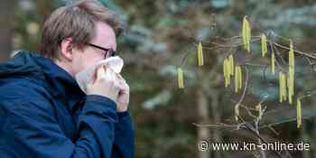 Pollenflug über Wiesbadener Schulgelände: Mehr als 30 Schüler mit Atembeschwerden in Klinik