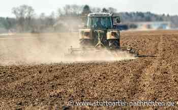 Klimawandel in Baden-Württemberg - So wenig hat es zuletzt in Giengen an der Brenz geregnet - Stuttgarter Nachrichten