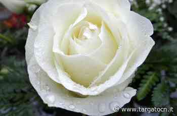 La benedizione delle rose ad Alba - TargatoCn.it