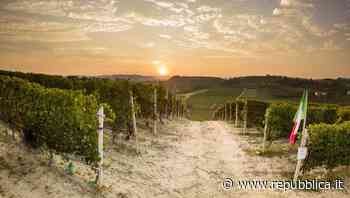 Cantina Giovanni Rosso a Serralunga d'Alba, la recensione - la Repubblica