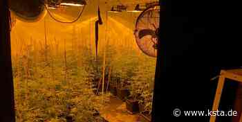 Drogenplantage ausgehoben: Hürther soll im Internet mit Drogen gehandelt haben - Kölner Stadt-Anzeiger