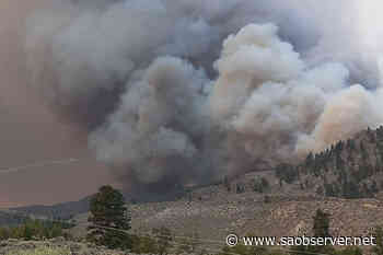 Osoyoos Fire Rescue bracing for potential early wildfire season – Salmon Arm Observer - Salmon Arm Observer