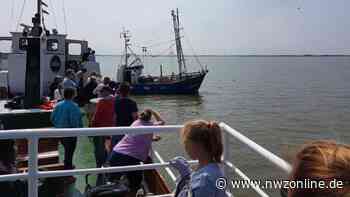 Ferienpass Varel: Anmeldungen bis 29. Mai - Nordwest-Zeitung