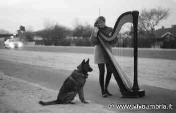 Concerti dei 75 Dollar Bill allo ZUT! di Foligno e Mary Lattimore al Caos di Terni - Vivo Umbria