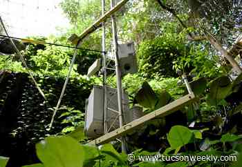 UArizona’s rainforest in the desert is a testing ground for understanding methane