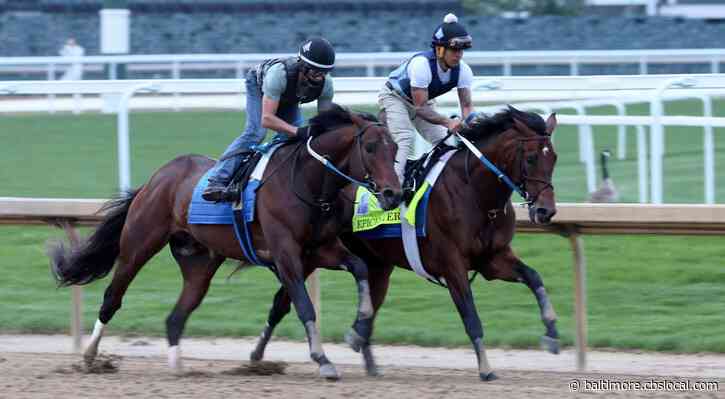 Derby Runner-Up Epicenter Confirmed for Preakness, Maryland Jockey Club Says