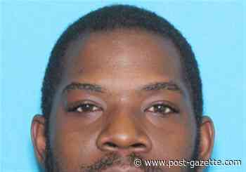 Mount Oliver man pleads guilty in killing of woman outside Stowe strip club - Pittsburgh Post-Gazette