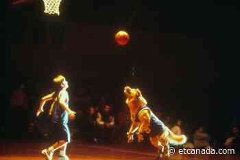 John Oliver Has A Whole Lot Of Bones To Pick With ‘Air Bud’ - ETCanada.com