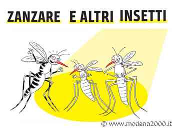 Proliferazione della zanzara tigre, via al Piano di contrasto - Modena 2000