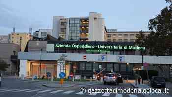 Modena, tre bimbi ricoverati con malaria in pediatria - La Gazzetta di Modena