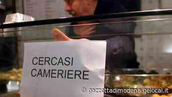 Modena, l'allarme: «Non troviamo camerieri: preferiscono andare all'estero» - La Gazzetta di Modena