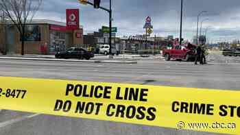 Innocent victim dead after 'reckless' road rage incident in southeast Calgary, police say