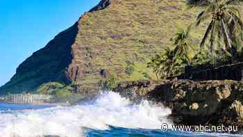 ‘Hawaii is being sold to the global elite’: The fight to retake paradise