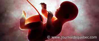 Une Croate autorisée à avorter après l’indignation publique