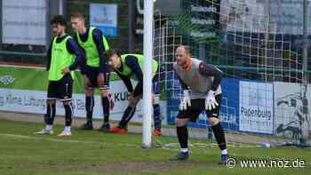 Friesoythe, Biene und Ex-Meppen-Keeper: Blau-Weiß Papenburg träumt vom Aufstieg: Worauf es nun ankommt - NOZ