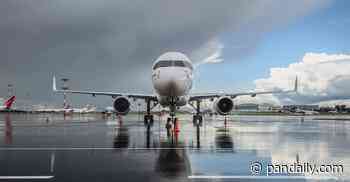 Alibaba's Cainiao Releases Plan to Aid Cross-Border Logistics Amid Pandemic - Pandaily