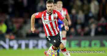 Ralph Hasenhuttl makes honest Adam Armstrong and Armando Broja admission after Brentford loss - Hampshire Live