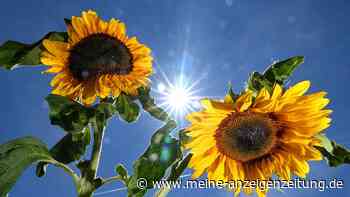 Extrem-Wetterlagen häufen sich: Bedeutender Klimawert bald überschritten
