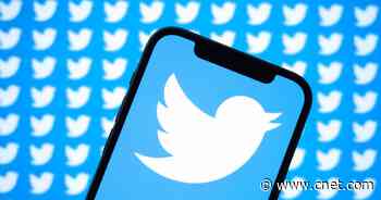 Twitter Updates Security Policy to Combat Spam Tweets and 'Copypasta'     - CNET