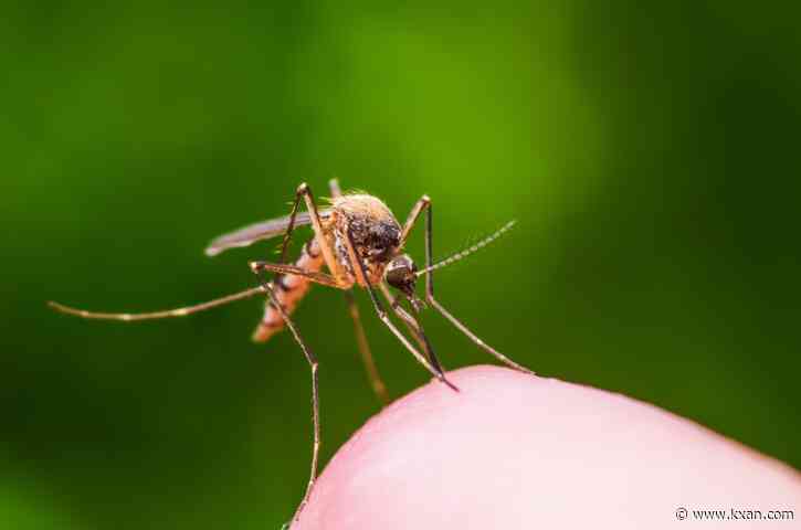 Mosquitoes prefer biting humans wearing red, orange or black clothes