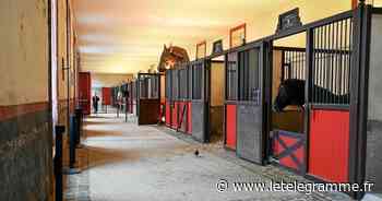 Lorient - Hennebont : bientôt des starlettes au Haras ? [Billet] - Le Télégramme