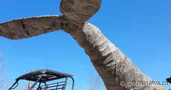 Giant right whale sculpture aims to raise awareness for endangered species