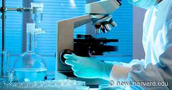 Harvard Medical School faculty elected to National Academy of Sciences - Harvard Gazette