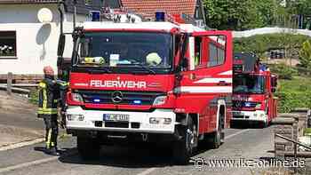 Hemer: Beim Unkrautflämmen geht Hecke in Flammen auf - IKZ News