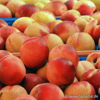Wochenmarkt in Hemer fällt aus - Radio MK