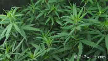 Earnings Previews: Affirm, Aurora Cannabis, Toast - 24/7 Wall St.