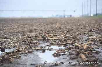 Increased rainfall brings potential bigger profits - Aurora News Register