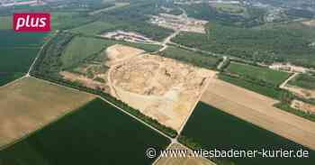 Bau des Ostfelds nicht klimaneutral möglich - Wiesbadener Kurier