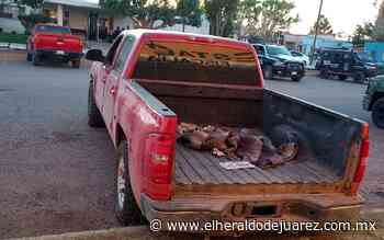 Robaron camioneta en Juárez y la encontraron en Nuevo Casas Grandes - El Heraldo de Juárez