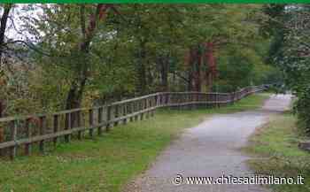 A Gallarate una camminata naturalistico-letteraria - Diocesi di MIlano