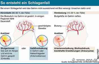 "Bei einem Schlaganfall zählt jede Minute" - Traunstein - Passauer Neue Presse - PNP.de