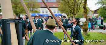Baumkrone bricht ab: Schreckmoment beim Maibaumaufstellen in Rettenbach - Traunsteiner Tagblatt