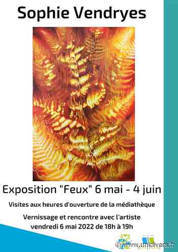Exposition “Feux” de Sophie Vendryes Soustons vendredi 6 mai 2022 - Unidivers