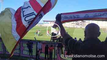 Esplode la festa al “Cannarsa”. Termoli Calcio vola in Serie D - Il Quotidiano del Molse