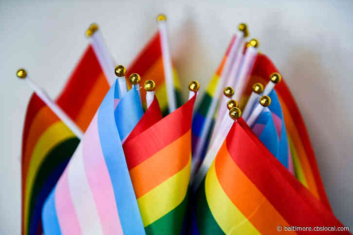 Carroll County Students Protest School Board Policy That Would Prohibit Pride Flags