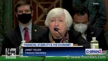 Tim Scott delivers ‘stunning rebuke’ of Janet Yellen over Black abortion comments: ‘I am thankful to be here’ - Fox News