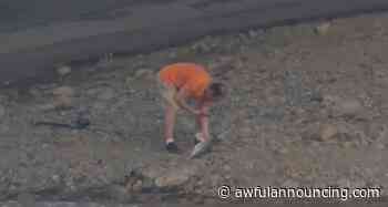 Fishing interests broadcasters more than the Cincinnati Reds - Awful Announcing