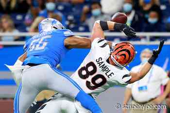 3 Cincinnati Bengals whose stock rose following the 2022 NFL Draft - Stripe Hype