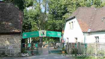 Der „Waldtrödelmarkt“ lädt in die Dresdner Heide ein - Sächsische.de