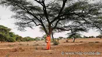 TF und LDS: Das läuft in den Kinos in Luckenwalde, Dahme, Wildau und Königs Wusterhausen - Märkische Allgemeine Zeitung